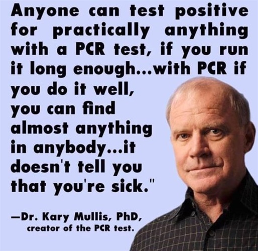 PCR Tests